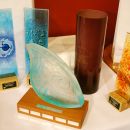 My lovely shiny awards!  Facepainter of the Year 2012; Best Technical Design and Runner Up for two other competitions!