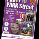 Party in Park Street, Camberley